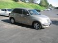 Light Almond Metallic - PT Cruiser Touring Photo No. 3