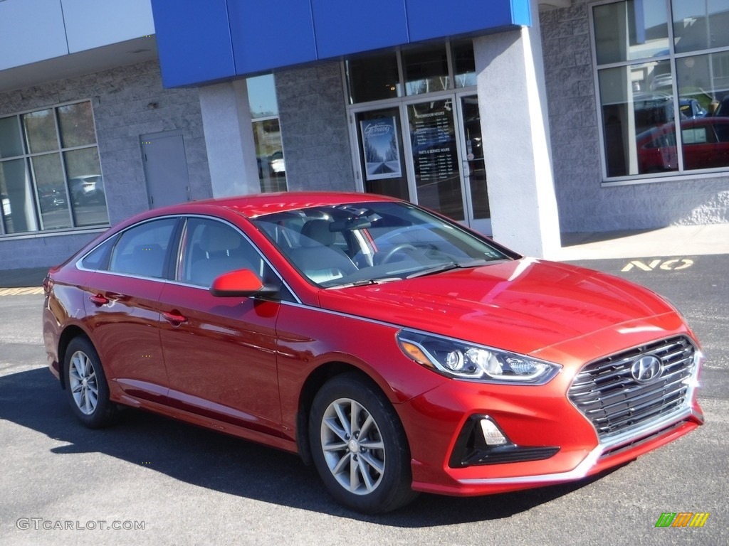 2019 Sonata SE - Scarlet Red / Gray photo #1