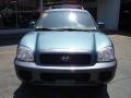 2003 Arctic Blue Hyundai Santa Fe I4  photo #8