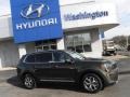 2021 Dark Moss Kia Telluride EX AWD  photo #2