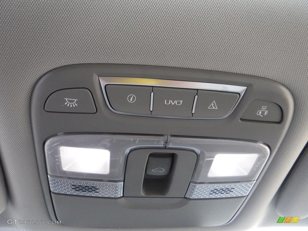 2021 Telluride EX AWD - Dark Moss / Gray photo #26