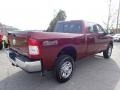 Delmonico Red Pearl - 2500 Tradesman Crew Cab 4x4 Photo No. 5