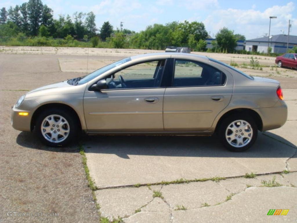 2003 Neon SXT - Light Almond Pearl Metallic / Dark Slate Gray photo #1