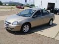 2003 Light Almond Pearl Metallic Dodge Neon SXT  photo #2