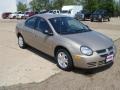 2003 Light Almond Pearl Metallic Dodge Neon SXT  photo #4