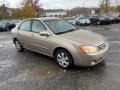 2004 Sand Beige Kia Spectra LX Sedan  photo #4