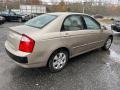 2004 Sand Beige Kia Spectra LX Sedan  photo #5