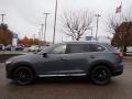 Polymetal Gray - CX-9 Carbon Edition AWD Photo No. 6