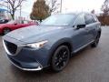 Polymetal Gray - CX-9 Carbon Edition AWD Photo No. 7