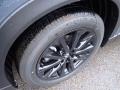 Polymetal Gray - CX-9 Carbon Edition AWD Photo No. 10