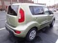 2013 Alien Green Kia Soul 1.6  photo #2