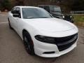White Knuckle - Charger SXT AWD Photo No. 2