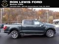 Guard 2021 Ford F150 Lariat SuperCrew 4x4