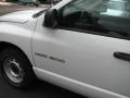 2003 Bright White Dodge Ram 1500 ST Regular Cab  photo #4