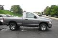 2005 Mineral Gray Metallic Dodge Ram 1500 ST Regular Cab 4x4  photo #1