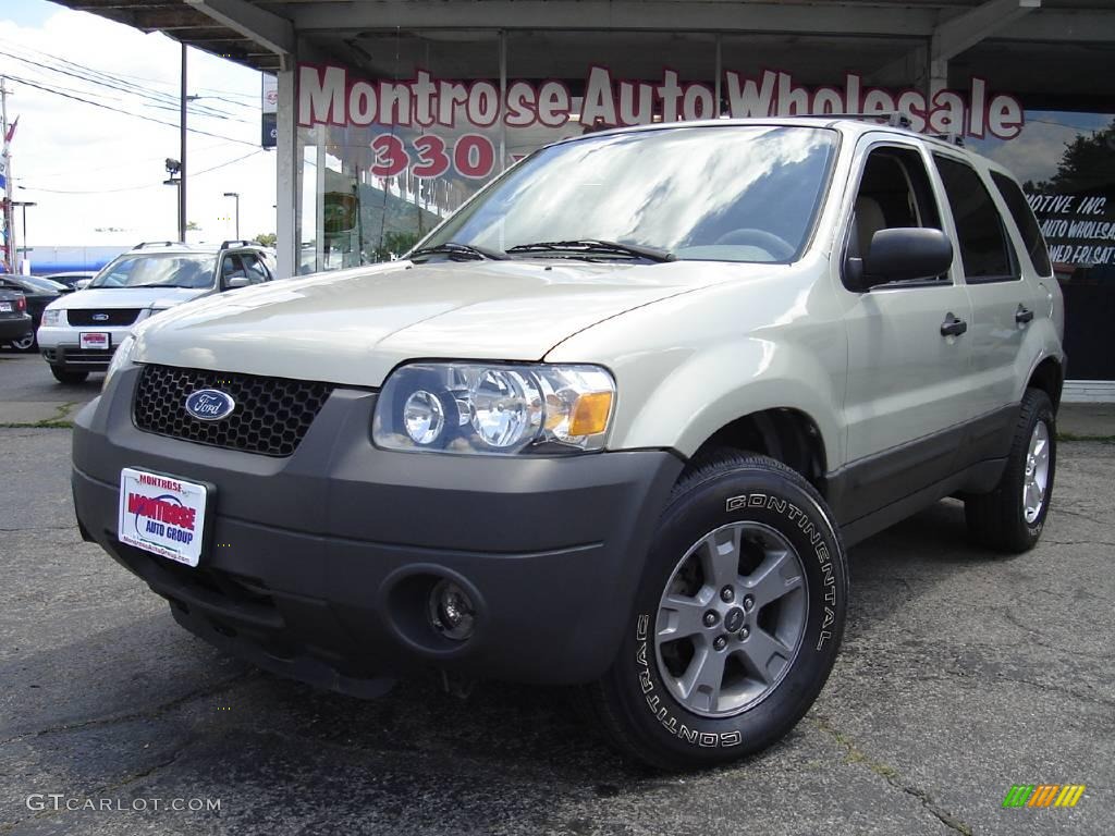 Gold Ash Metallic Ford Escape