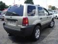 2005 Gold Ash Metallic Ford Escape XLT V6 4WD  photo #5