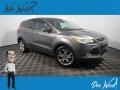 2013 Sterling Gray Metallic Ford Escape SEL 2.0L EcoBoost 4WD  photo #1