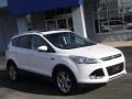 White Platinum 2014 Ford Escape Titanium 2.0L EcoBoost 4WD