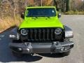 Limited Edition Gecko - Wrangler Unlimited Willys 4x4 Photo No. 3