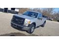 Ingot Silver Metallic - F150 XL Regular Cab Photo No. 10