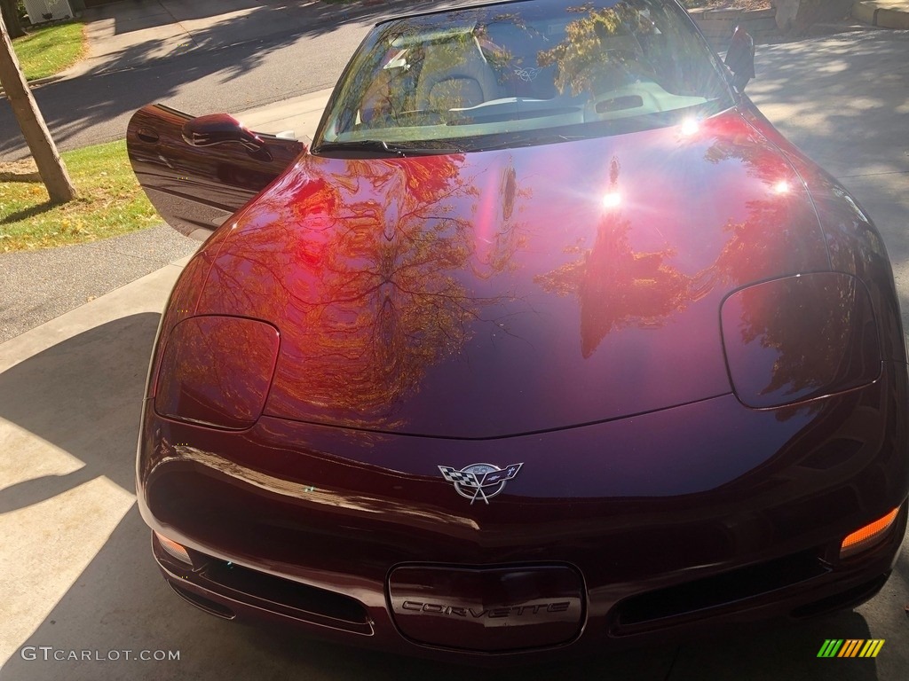2003 Corvette Convertible - 50th Anniversary Red / Shale photo #12