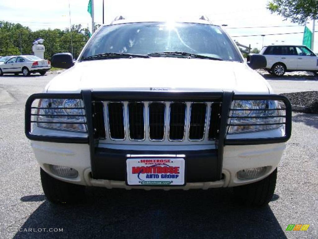 2003 Grand Cherokee Limited 4x4 - Stone White / Dark Slate Gray photo #8