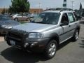 Zambezi Silver - Freelander S Photo No. 3