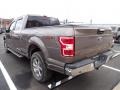 2019 Stone Gray Ford F150 XLT SuperCrew 4x4  photo #4