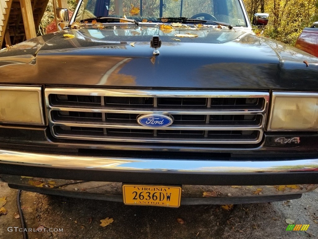 1991 F150 Lariat Regular Cab 4x4 - Dark Grey Metallic / Scarlet Red photo #12