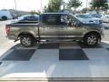 Magnetic - F150 XLT SuperCrew 4x4 Photo No. 3