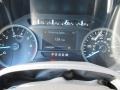 Magnetic - F150 XLT SuperCrew 4x4 Photo No. 16