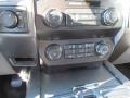 Magnetic - F150 XLT SuperCrew 4x4 Photo No. 19