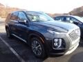 2020 Steel Graphite Hyundai Palisade SEL AWD  photo #4