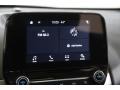 Canyon Ridge Metallic - EcoSport SE 4WD Photo No. 10
