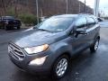 Smoke Metallic - EcoSport SE 4WD Photo No. 7