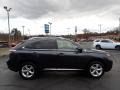 2010 Smokey Granite Mica Lexus RX 350 AWD  photo #10