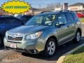 2015 Jasmine Green Metallic Subaru Forester 2.5i Limited  photo #1