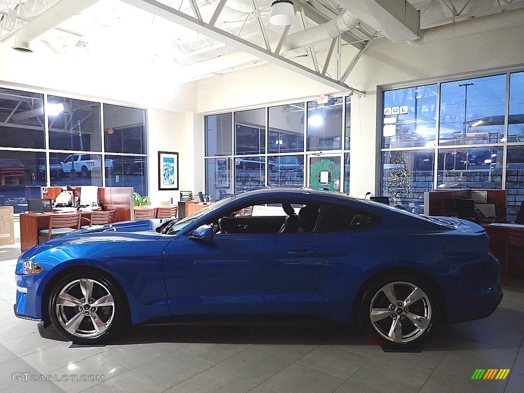 2019 Mustang EcoBoost Premium Fastback - Velocity Blue / Ebony photo #5