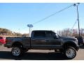 Magnetic - F250 Super Duty Platinum Crew Cab 4x4 Photo No. 6