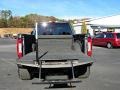 Magnetic - F250 Super Duty Platinum Crew Cab 4x4 Photo No. 19