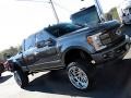 Magnetic - F250 Super Duty Platinum Crew Cab 4x4 Photo No. 37