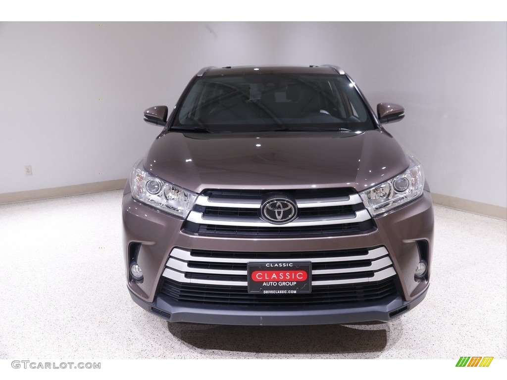 2019 Highlander XLE AWD - Toasted Walnut Pearl / Black photo #2