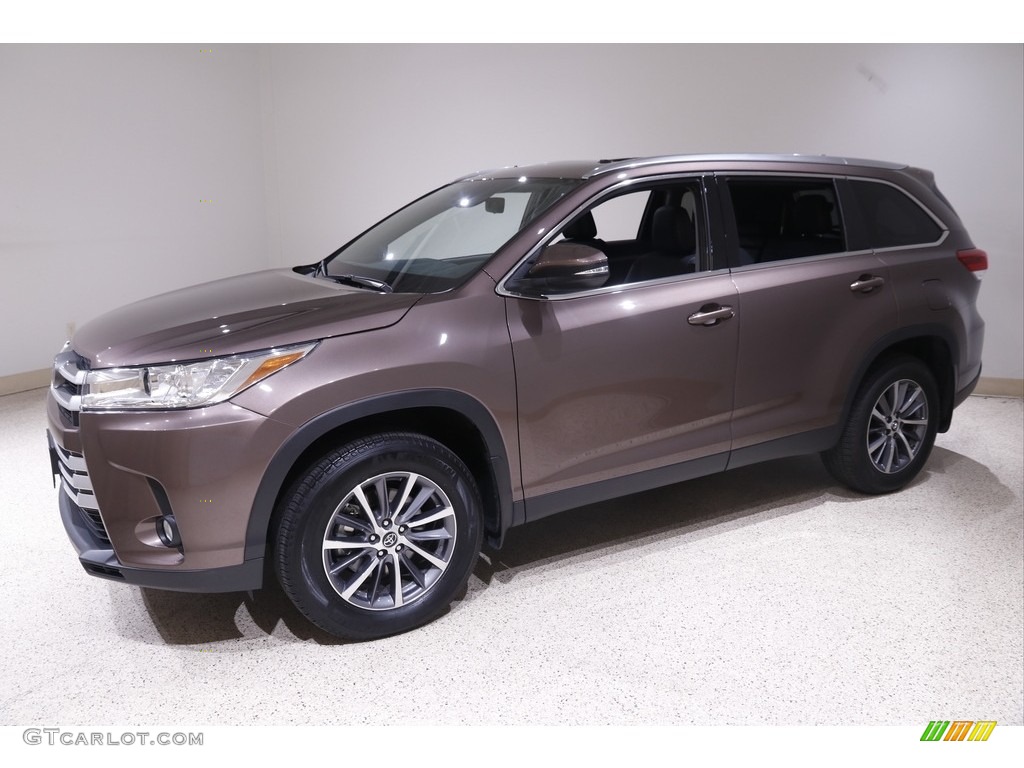 2019 Highlander XLE AWD - Toasted Walnut Pearl / Black photo #3