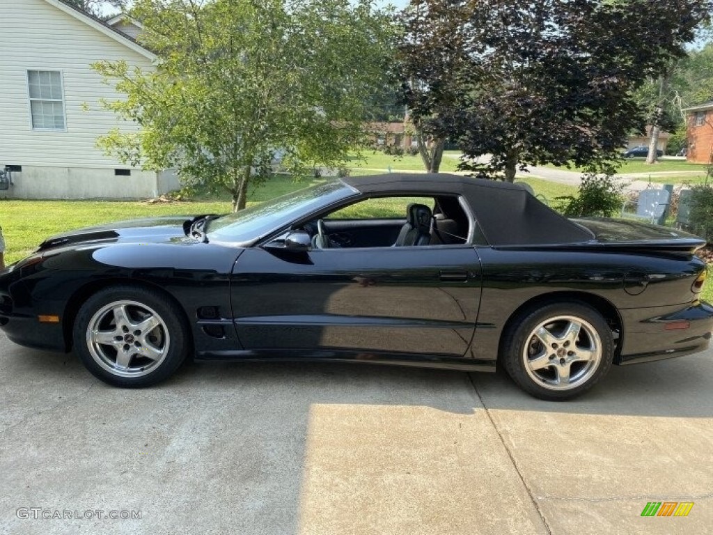 2002 Firebird Trans Am Convertible - Black / Ebony Black photo #8