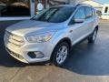 Ingot Silver - Escape SE 4WD Photo No. 2