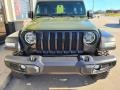 Sarge Green - Wrangler Unlimited Willys 4x4 Photo No. 40