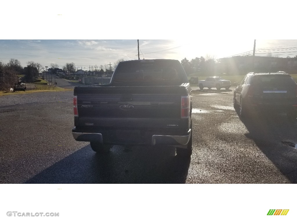 2014 F150 STX SuperCrew 4x4 - Blue Flame / Steel Grey photo #6