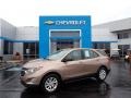 Sandy Ridge Metallic - Equinox LS AWD Photo No. 1