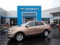 Sandy Ridge Metallic 2019 Chevrolet Equinox LT AWD Exterior